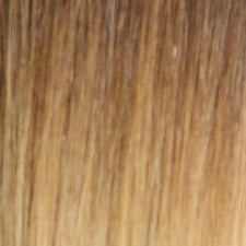 #25 Gradient Brown to Blonde