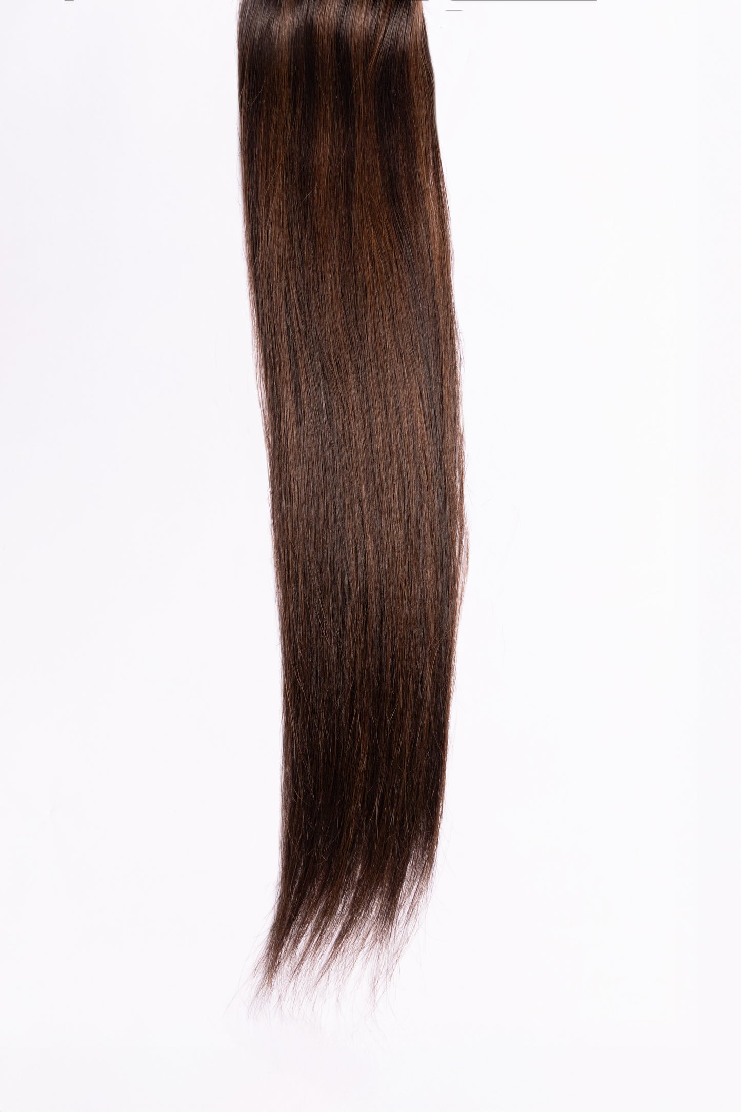 #29 Brown & Dark Brown