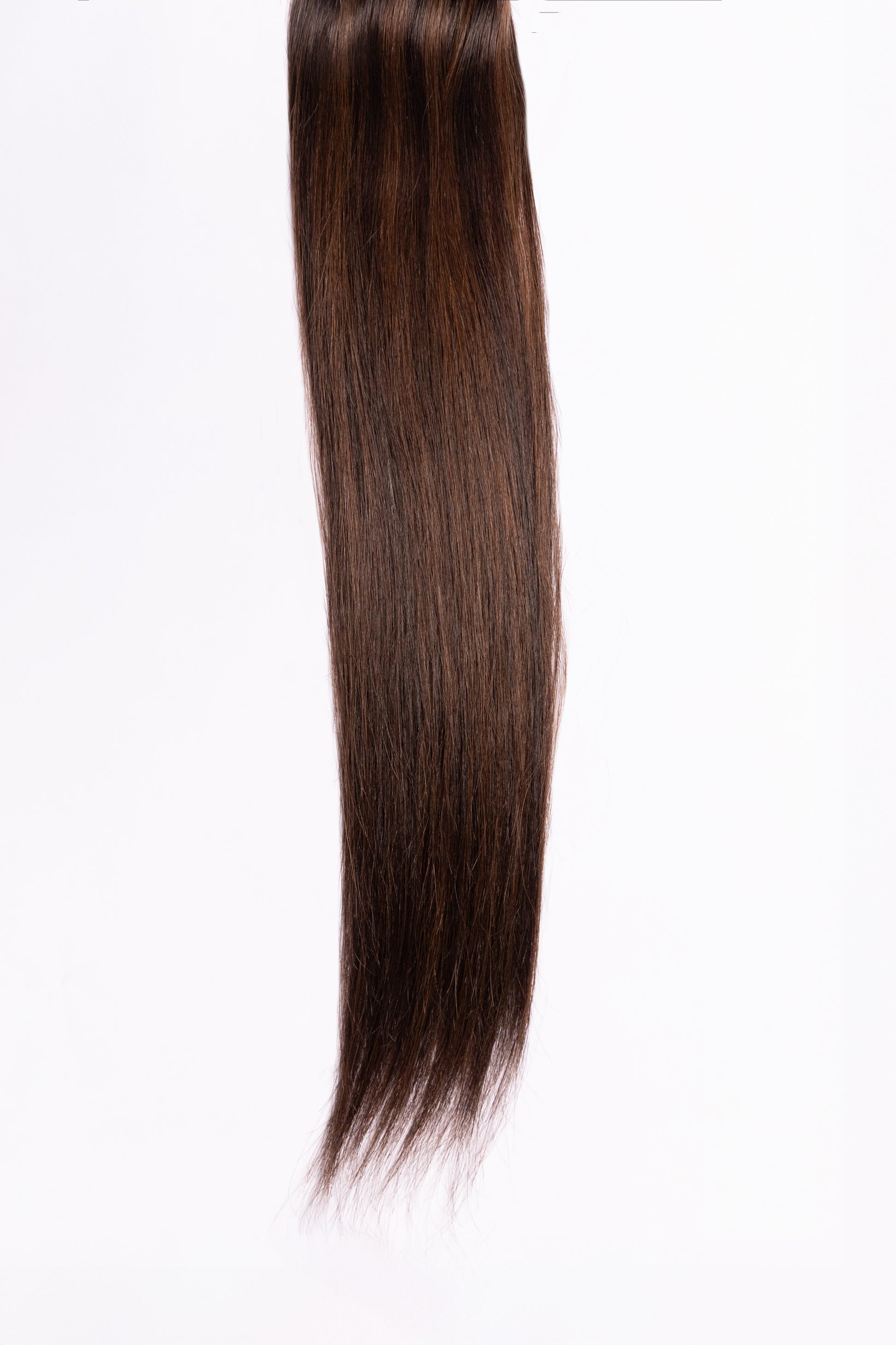 #29 Brown & Dark Brown