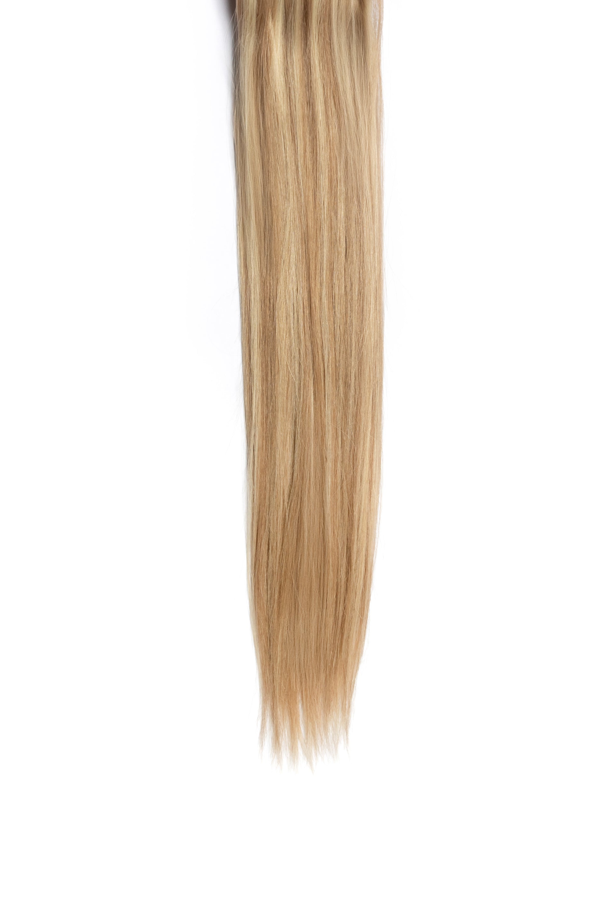 #31 Platinum Blonde & Dark Blonde