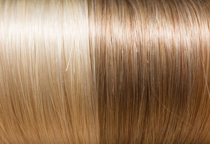 #31 Platinum Blonde & Dark Blonde