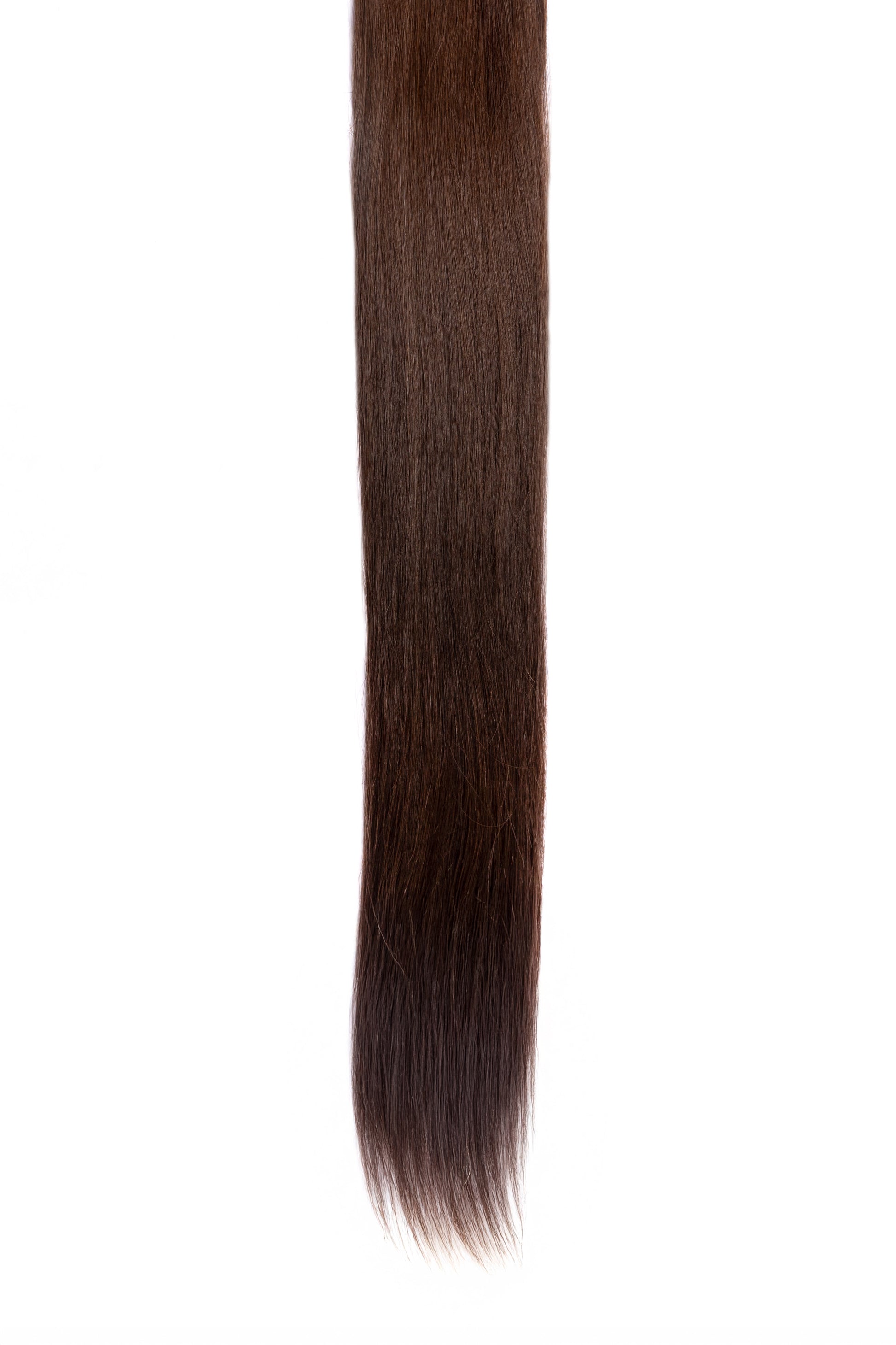 #37 Cooler Dark Brown
